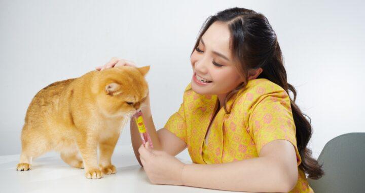 Menengok Menu Makanan Kucing Sultan Andara, Setiap Hari Disuguhi Makanan Brand Terkenal